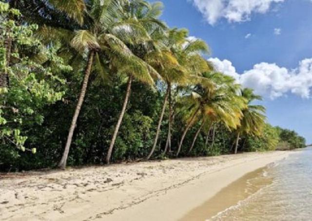 Touloukaera Appt 303 Plage Kawann Saint-Louis Dış mekan fotoğraf