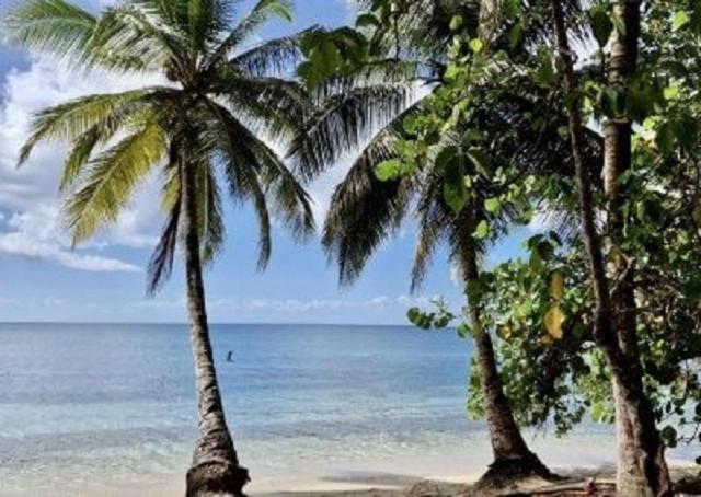 Touloukaera Appt 303 Plage Kawann Saint-Louis Dış mekan fotoğraf