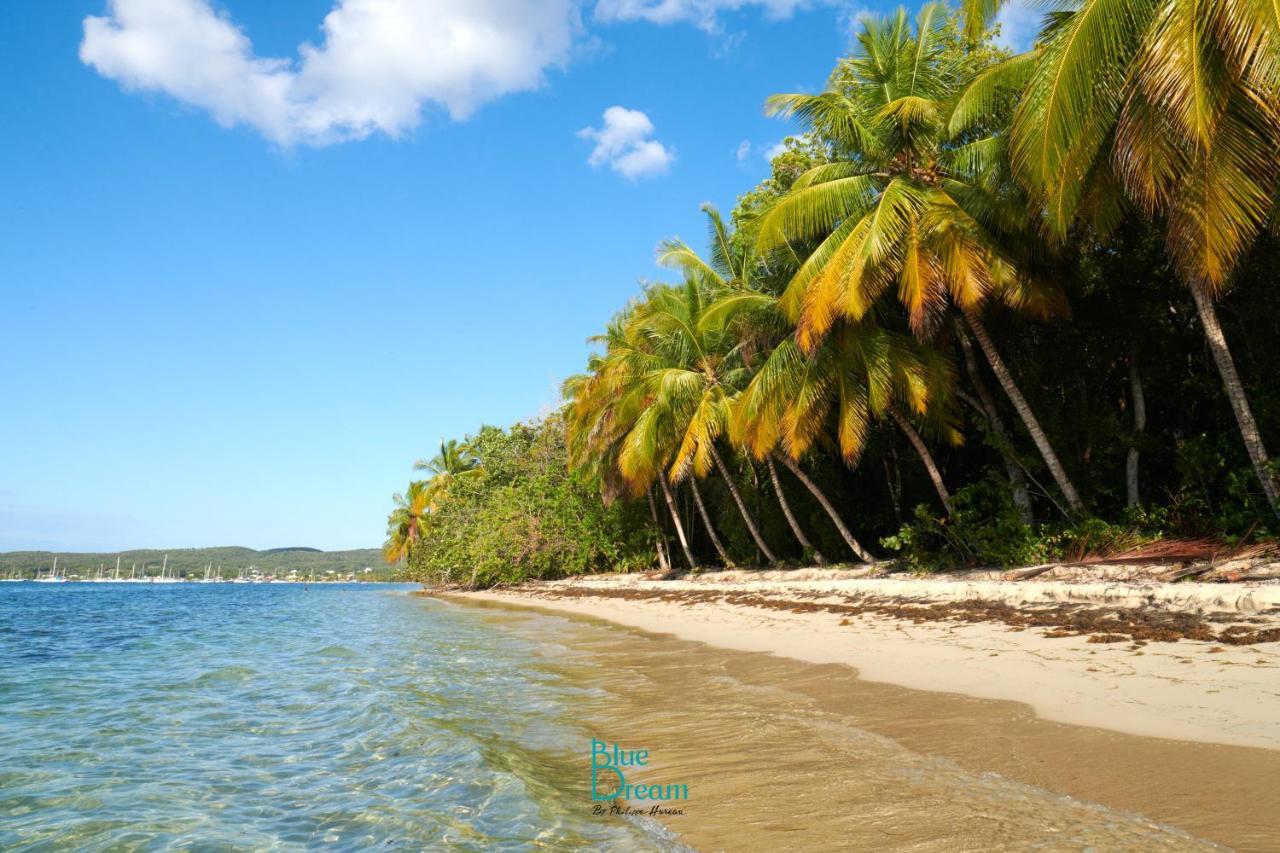 Touloukaera Appt 303 Plage Kawann Saint-Louis Dış mekan fotoğraf